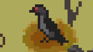 play Crow