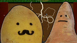Potato Mash