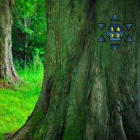 play Enchanting Fantasy Forest Escape