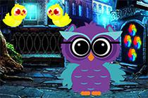 play Ruler Owl Escape