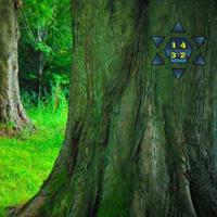 play Beg Enchanting Fantasy Forest Escape