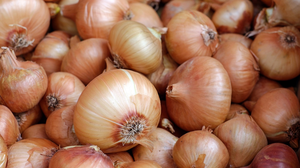 play Art Of Onions