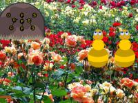 play Blossom Rose Garden Escape