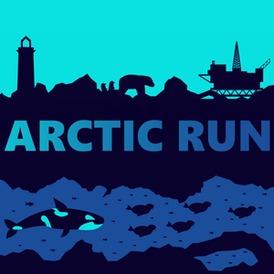 play Arctic Run