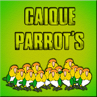 play G2J Caique Parrots Escape