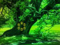 play Friends Birds Garden Escape