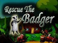 play Top10 Rescue The Badger