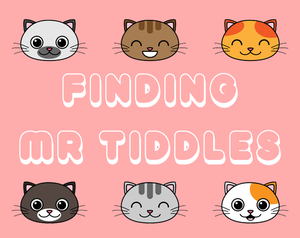 play Finding Mr Tiddles