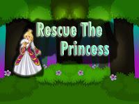 play Top10 Rescue The Princess