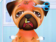 play Princesses Puppy Care