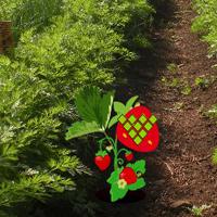 Beg Strawberry Farm Fairy Escape