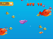 play Eat Small Fishes