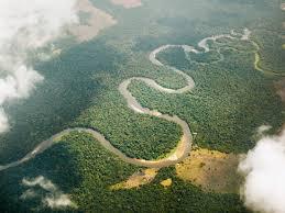 play River Game