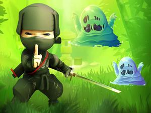 play Ninja Vs Slime