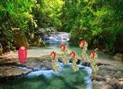 play Lush Forest Pond Escape