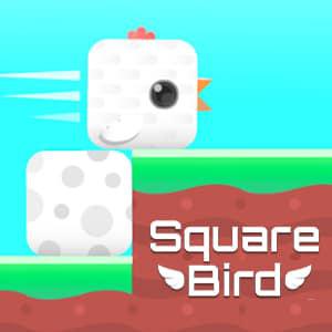 Square Bird