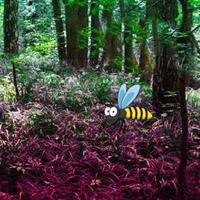 play Diversity Wilderness Escape