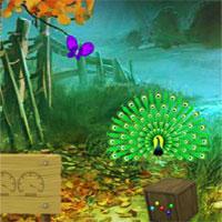 play 8B-Peafowl-Escape