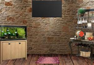 play Rustic Old Room Escape
