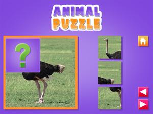 play Animal Puzzle