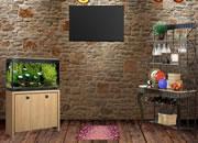 play Rustic Old Room Escape
