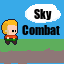 Sky Combat