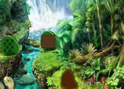 Jungle Adventure Boy Escape