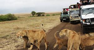 play A Kenyan Safari 2