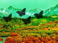 play Gorgeous Valley Forest Escape