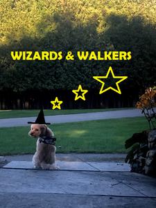 play Wizards & Walkers