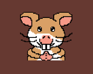 play Hamsterracer