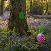 play Spring Bluebells Forest Escape