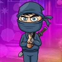 play Affable Ninja Escape