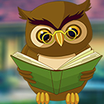 Expound Owl Escape