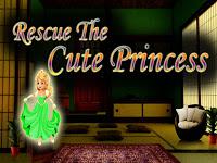 play Top10 Rescue The Cute Princess