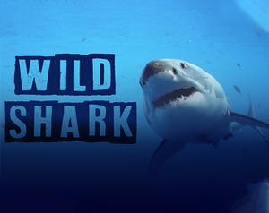 play Wild Shark