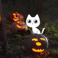 play Pumpkin Night Forest Escape
