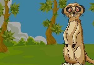 play The Meerkat Rescue