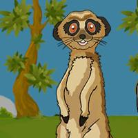 play G2J The Meerkat Rescue