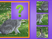 play Animal Puzzle