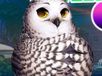 play Lovely Owl Escape