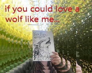 If You Could Love A Wolf Like Me...