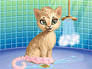 play Cat Hair Salon