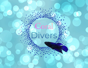 play Coral Divers