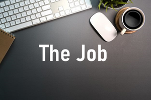 play Do You Get The Job?