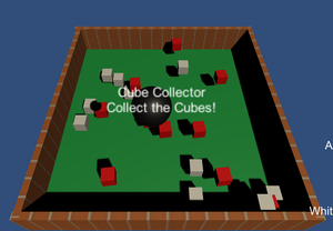 Fun Stimulation_Cube Collector