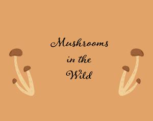 play Mushrooms In The Wild