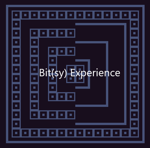 Bit(Sy) Experience