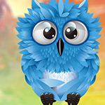 Cute Blue Owl Escape