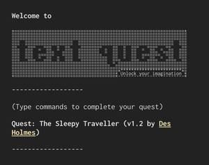 play Text Quest: The Sleepy Traveller